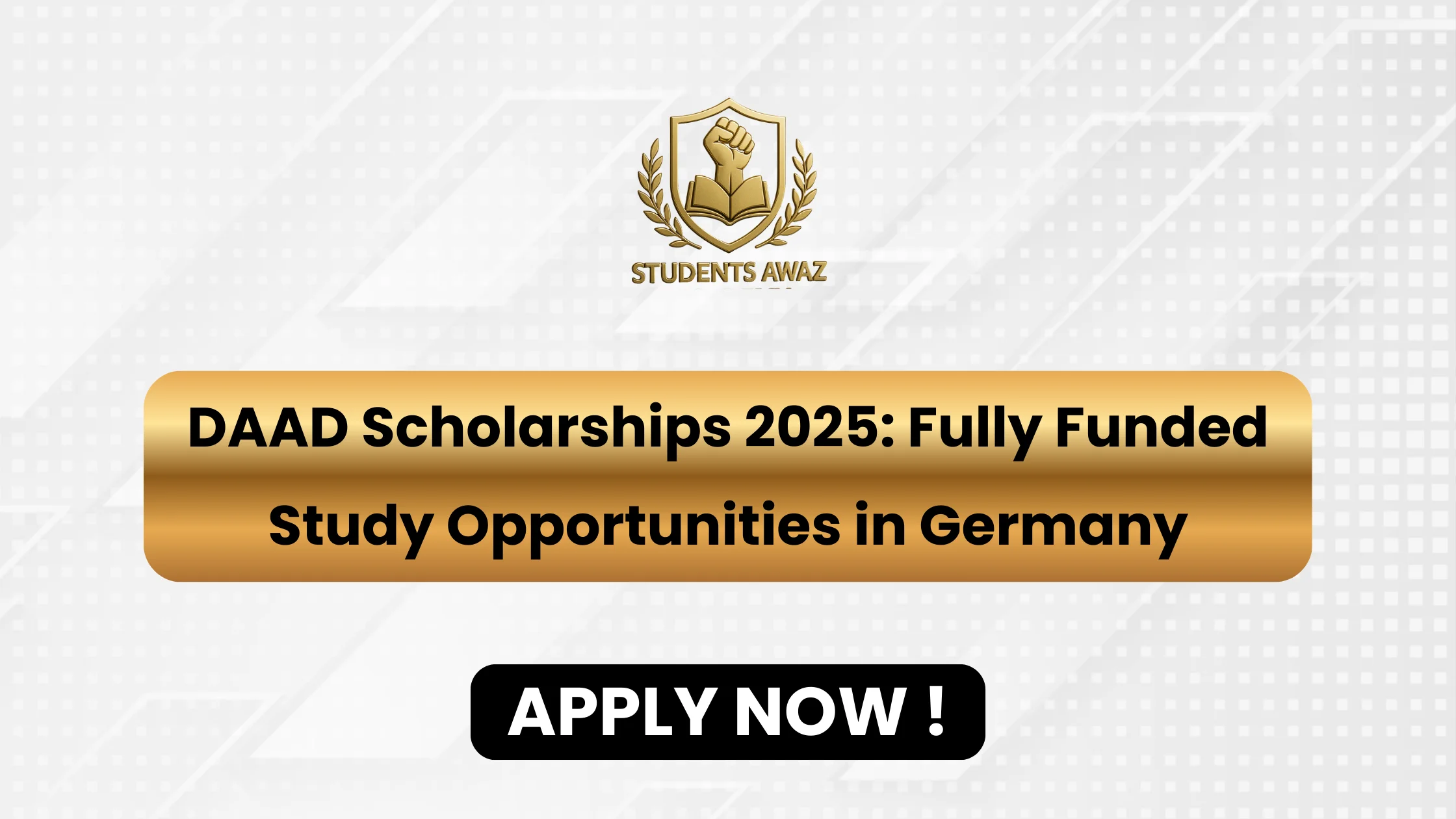 daad scholarship