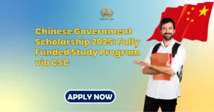 chinese scholarships